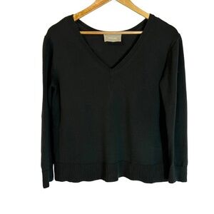 Everlane Black Cropped V-Neck Sweater XS Quiet Luxury Minimalist